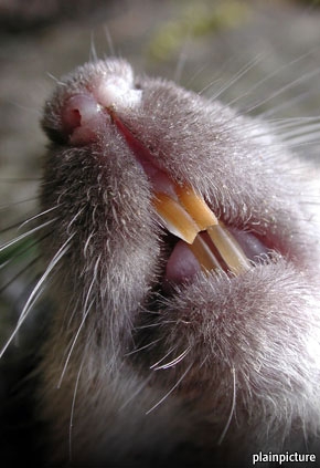 20110924_FNP002_0.jpg 20110924_FNP002_0.jpg